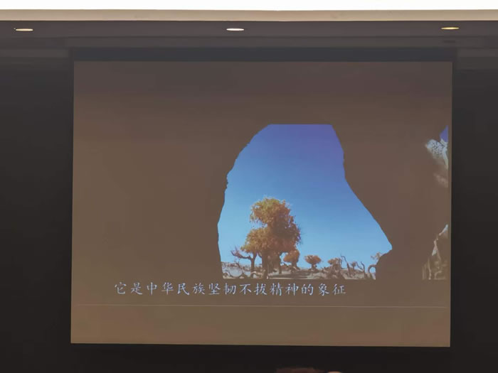 綿陽中旅行假日旅行社舉行胡楊林、南疆專列推薦會